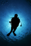 diver_silhouette.jpg