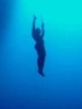 freediver.jpg